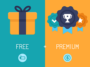 Freemium is a free item that offers premium options for a fee.